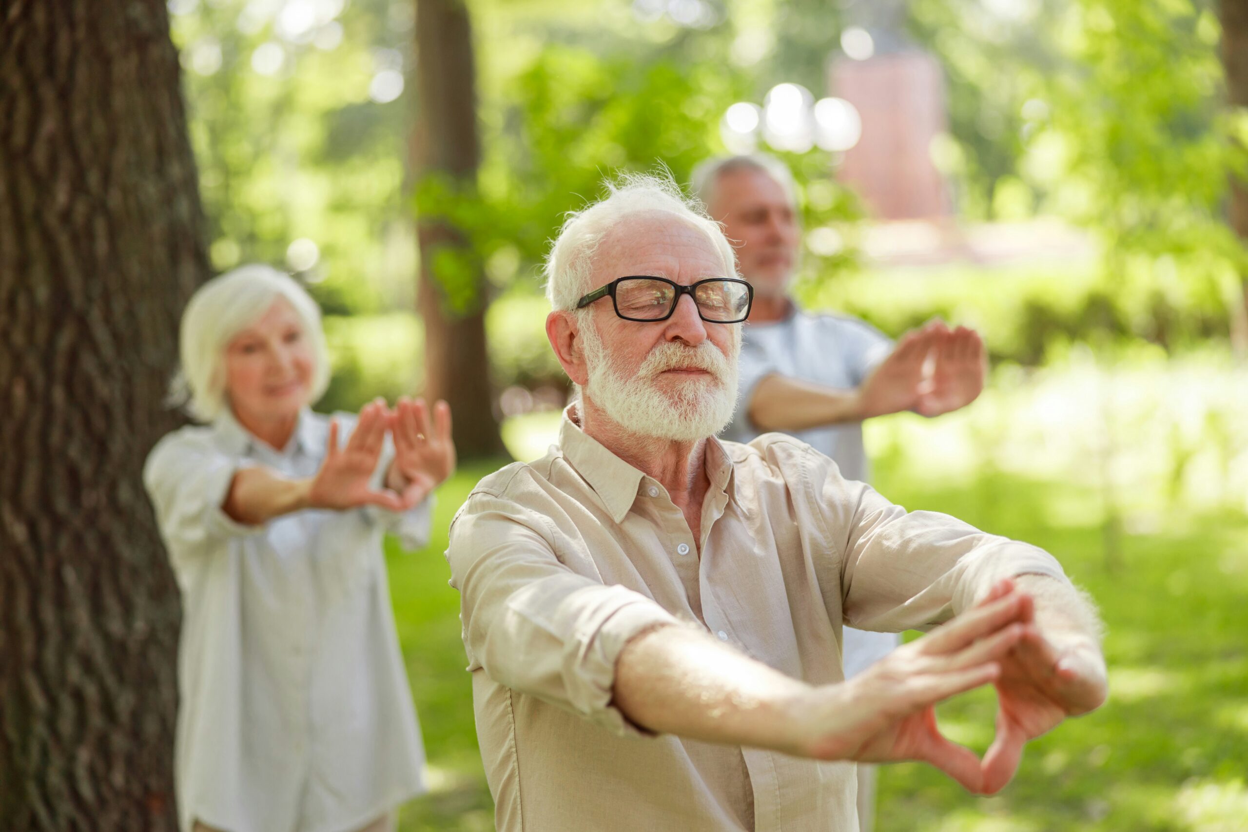 Groupe de personne âges qui font un cours de tai chi dans un parc à l'extérieur